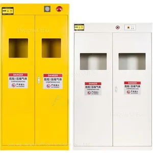 High-Security Compressed Gas Storage Cabinet With Removable Mounting Bracket for Automated Factory Air Supply Station Serving Canada thumbnail-1