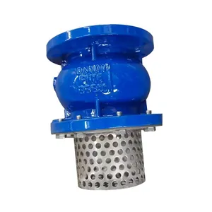 Factory Direct Sales of High-quality Flange Type Bottom Valve With Filter Screen thumbnail-2