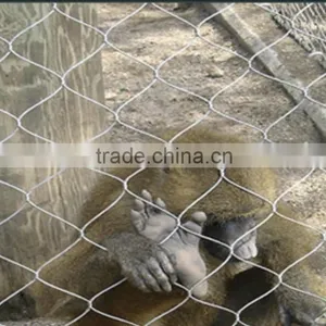 ss Animal Enclosure Rope Mesh/stainless Steel Wire Rope Mesh Net thumbnail-2