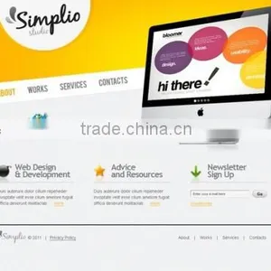 Professional Outsource Website Design Service In India thumbnail-1