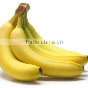 Cavandish Banana thumbnail-3