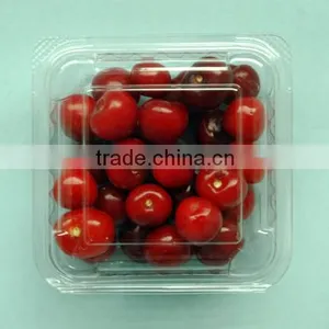 PET Plastic Transparent Cherry Box thumbnail-1