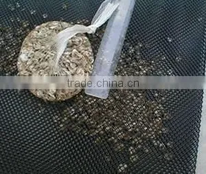 High Density Plastic Flat Netting for Oyster thumbnail-2