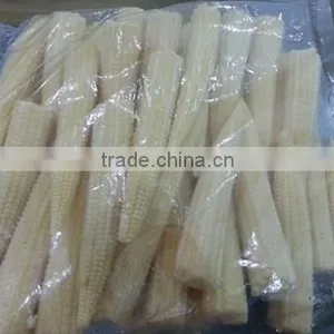 Organic Fresh Baby Sweet Corn thumbnail-2