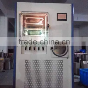 SJIA-100F SJIALAB High Efficiency Freeze Dryer Price/Food Freeze Dryer Price/Fruit Drying Machine Supplier's Choice thumbnail-2