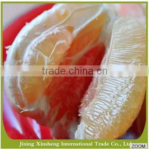 Fresh Organic Grapefruit thumbnail-2