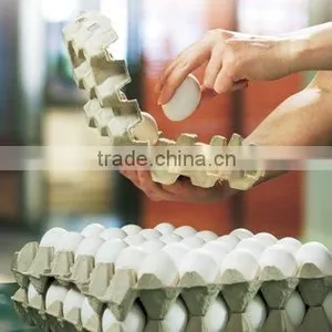 Low Price Paper Egg Tray Making Line thumbnail-1