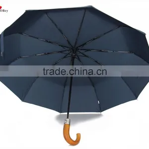 PARACHASE 10 Panels Windproof Auto Open Umbrella thumbnail-2