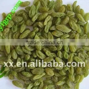 Chinese Organic Green Raisin thumbnail-1