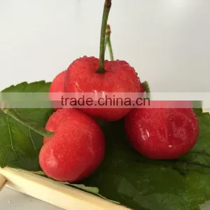 China Paper Bagged Fresh Cherries thumbnail-1