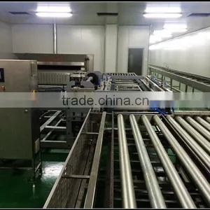 Non-standard Roller Deck and Bending Conveyor thumbnail-5