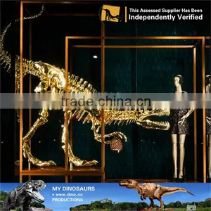 MY Dino-C084 Life Size Dinosaur Skeleton Display thumbnail-1