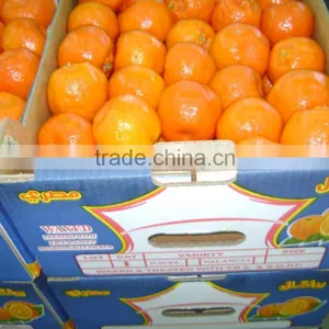 Fresh Mandarin thumbnail-2