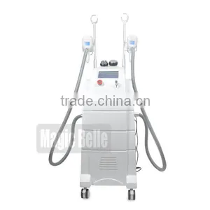 The Factory Price Slimming Beauty Equipment Fat Freezing Slimming Cryolipolysis Laser for Salon Use thumbnail-2