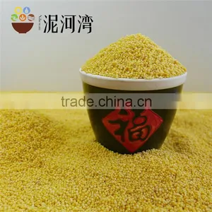 Organic Yellow Millet Bulk and Vacuum Packing Export Grade 2016 Crop thumbnail-3