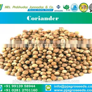Fresh Coriander thumbnail-1