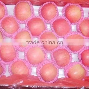 2011 Yantai Red Fuji Apple thumbnail-1