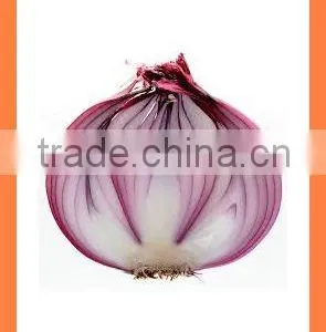 Bulk FOR SALE Fresh Red Onion thumbnail-1