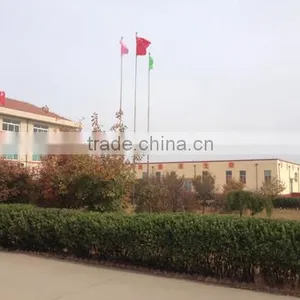 Weifang Sansho Food Co., Ltd. company overview - view 3 thumbnail