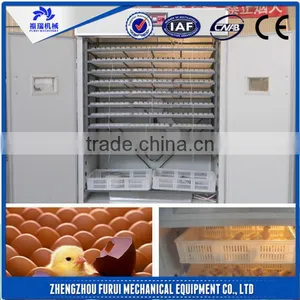 Professional Mini Egg Incubator for Sale Chicken Egg Incubator Price thumbnail-1