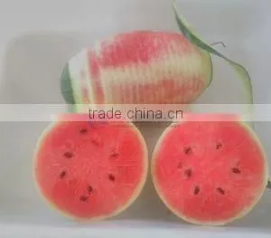 Peeler Type Fruit Process Equipment Automatic Coconut Melon Peeling Machine With CE thumbnail-4