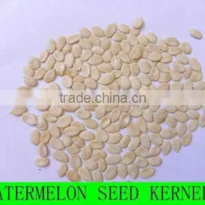 Fresh Watermelon Seed Kernels thumbnail-1