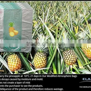 Dragon Fruit Bag thumbnail-6