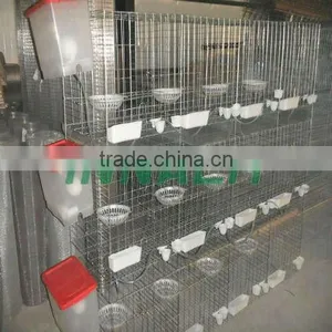 Poultry Equipment HIGH QUALITY PIGEON CAGE (FACTORY) thumbnail-1