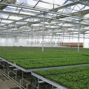 Aluminum Frame Glass Greenhouse PC Greenhouse With Aluminum Structure Single Span With Automatic Ventilation Greenhouse thumbnail-2