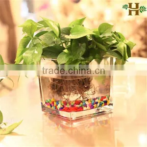 Cheap Clear Cube Glass Vases Wholesale thumbnail-1