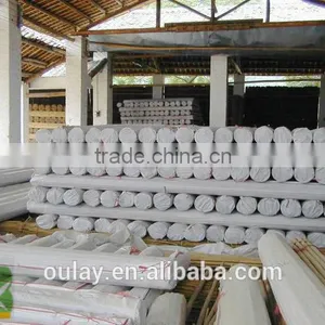 24~26MM 240CM Tonkin Bamboo Stakes For Orchard thumbnail-5
