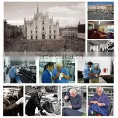 Qingdao Wanxiang Hongli Industry & Trade Co., Ltd. company overview - view 1 thumbnail