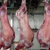 Sell Frozen Halal Lamb Products thumbnail-1