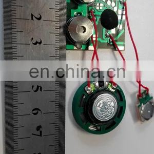 Sound IC Chips for Postcard/Toys thumbnail-3