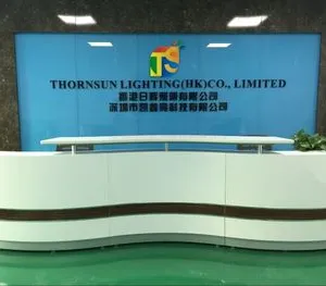 Thornsun Lighting (HongKong) Co., Ltd. company overview - view 1 thumbnail