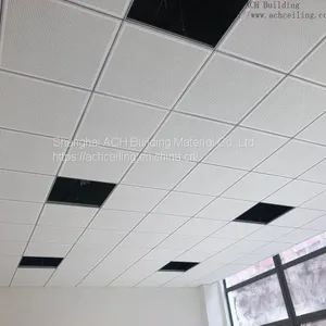Fiberglass Plaster Acoustic Ceiling thumbnail-3