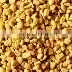 FENUGREEK thumbnail-1