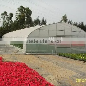 Single Span Commercial Greenhouse for Flowers and Vegetables thumbnail-3