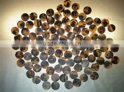 BUFFALO HORN BUTTONS thumbnail-5