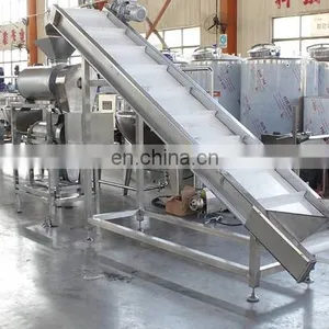 Blueberry Jam Paste Production Line Mango Paste Jam Grape Jam Line thumbnail-2