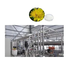 Multifunctional Production Line for Topinambur Inulin Fructose Synanthrin for Sale thumbnail-1