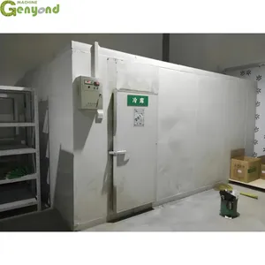 Walk in Cold Storage Room Refrigeration Equipment for Fresh Potato Vegetables Mushroom Freezer Equipment at Factory Price thumbnail-2