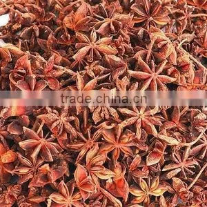 Stemless Autumn Star Anise thumbnail-1