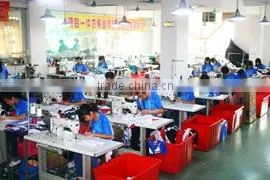 Healong Sportswear (Guangzhou) Co., Ltd. company overview - view 3 thumbnail