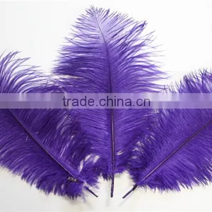 14"-16" Wholesale Purple Ostrich Feather Fabric For Ostrich Feather Fan Decoration thumbnail-4