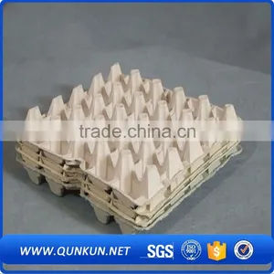 Buy Now Quail Eggs Tray Packing thumbnail-4