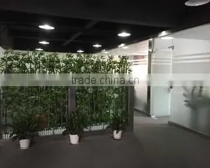 Shenzhen Mobai Technology Limited company overview - view 1 thumbnail