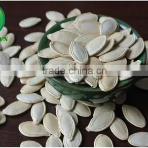 Yellow Pumpkin Seeds in Shell thumbnail-1