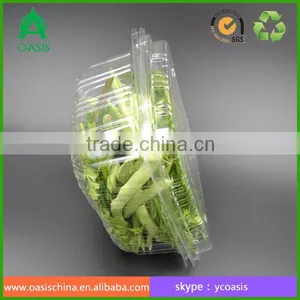 Clear Plastic Vegetable Packaging Box thumbnail-1