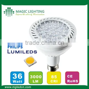 High Quality Led 36w Par30 Spotlight thumbnail-3